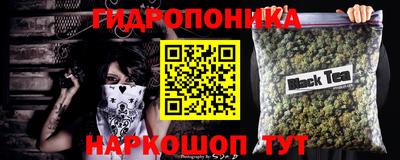 МДПВ Волгодонск