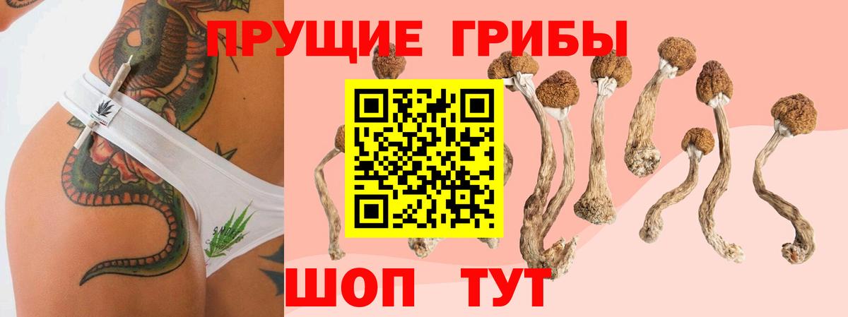 Псилоцибиновые грибы Psilocybe Учалы