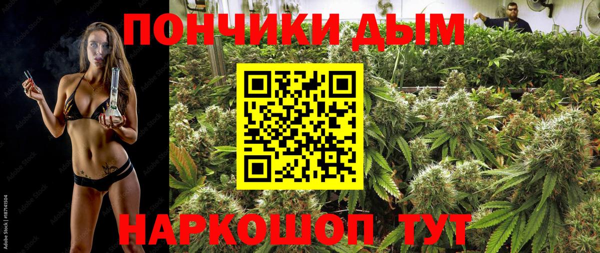 Шишки марихуана сатива Учалы